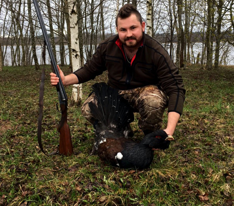 Wood grouse hunting in season 2017.